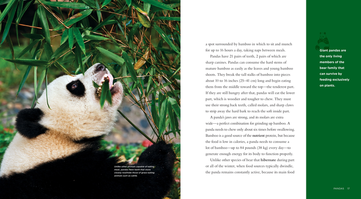 Living Wild Series Paperback Living Wild: Pandas - 2