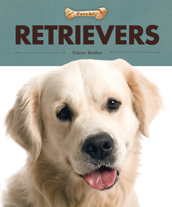 Fetch! Series Paperback Fetch!: Retrievers