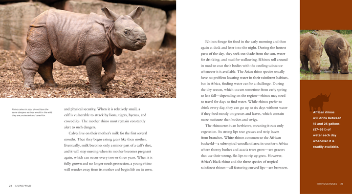 Living Wild Series Paperback Living Wild: Rhinoceroses - 2