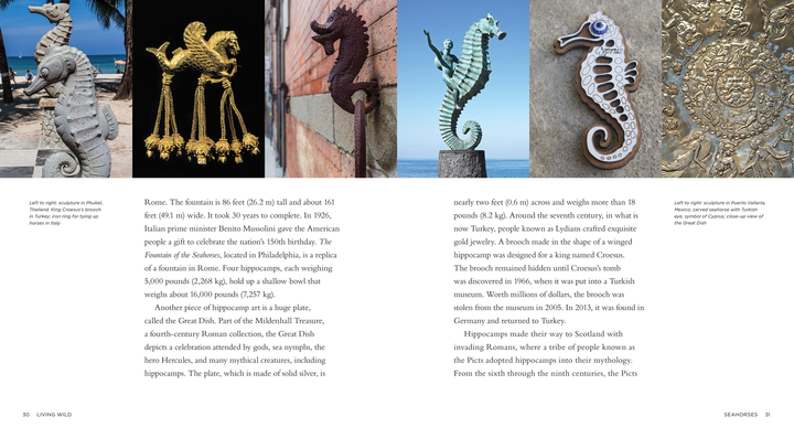 Living Wild Series Paperback Living Wild: Seahorses - 2