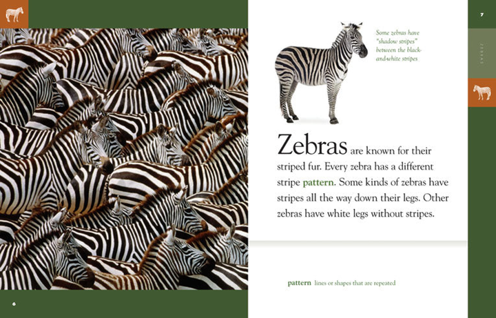 Amazing Animals - Classic Edition Series Paperback Amazing Animals - Classic Edition: Zebras - 3