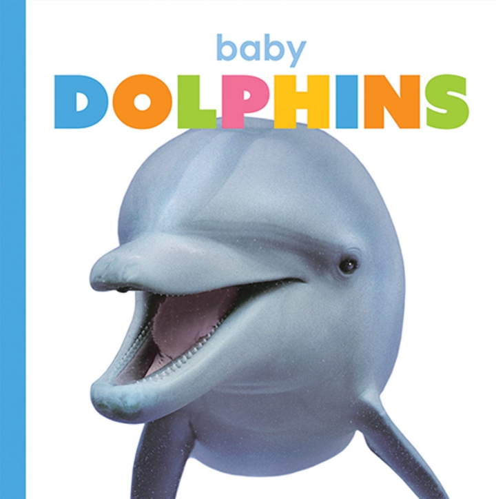 Starting Out Series Paperback Starting Out: Baby Dolphins