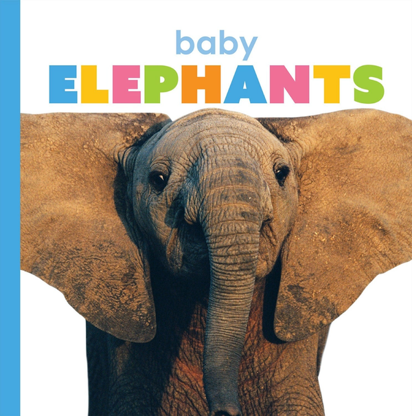 Starting Out Series Paperback Starting Out: Baby Elephants