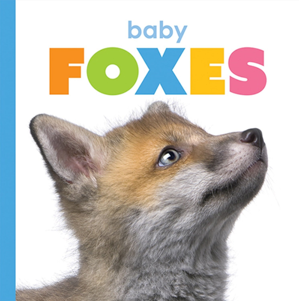 Starting Out Series Paperback Starting Out: Baby Foxes