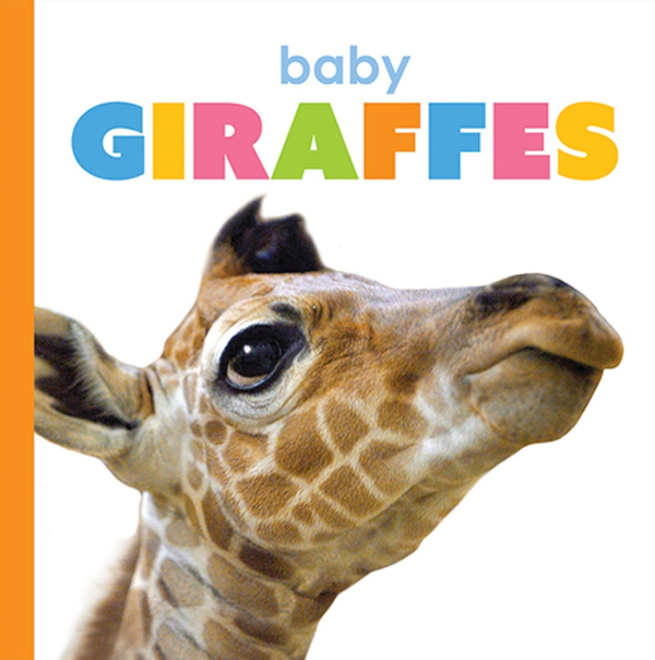 Starting Out Series Paperback Starting Out: Baby Giraffes