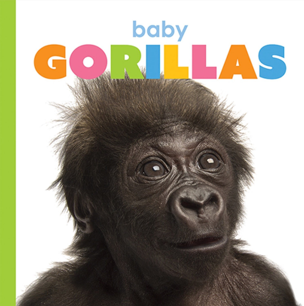 Starting Out Series Paperback Starting Out: Baby Gorillas