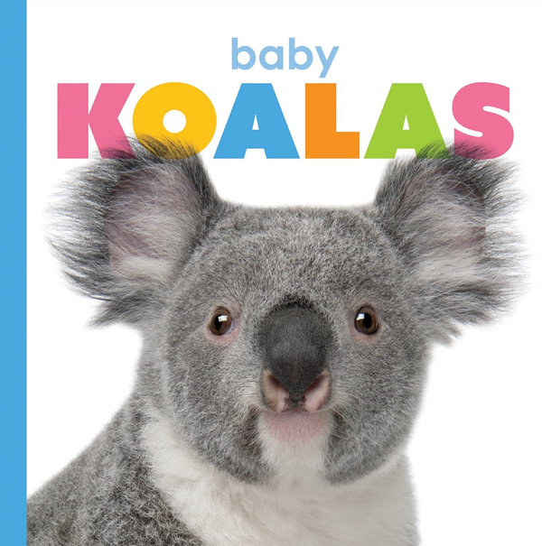 Starting Out Series Paperback Starting Out: Baby Koalas