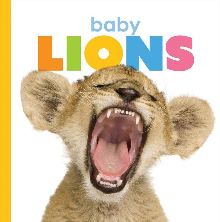 Starting Out Series Paperback Starting Out: Baby Lions