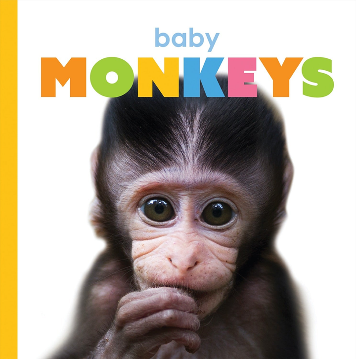 Starting Out Series Paperback Starting Out: Baby Monkeys