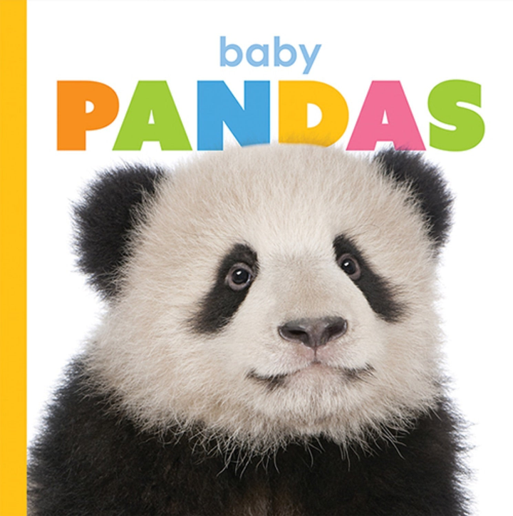 Starting Out Series Paperback Starting Out: Baby Pandas