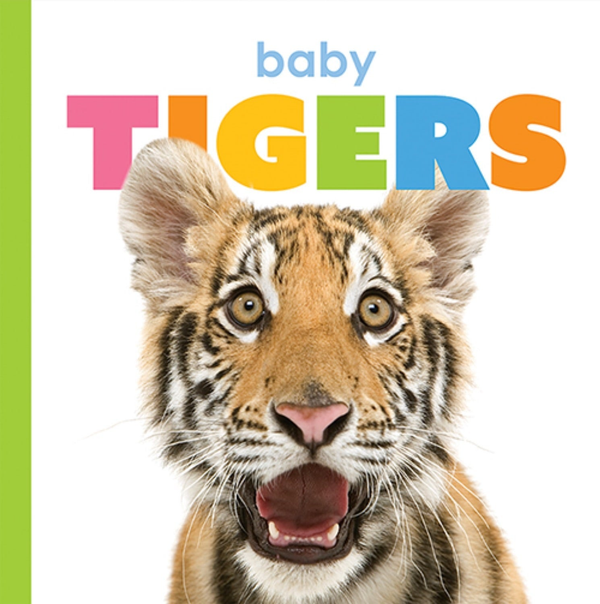 Starting Out Series Paperback Starting Out: Baby Tigers