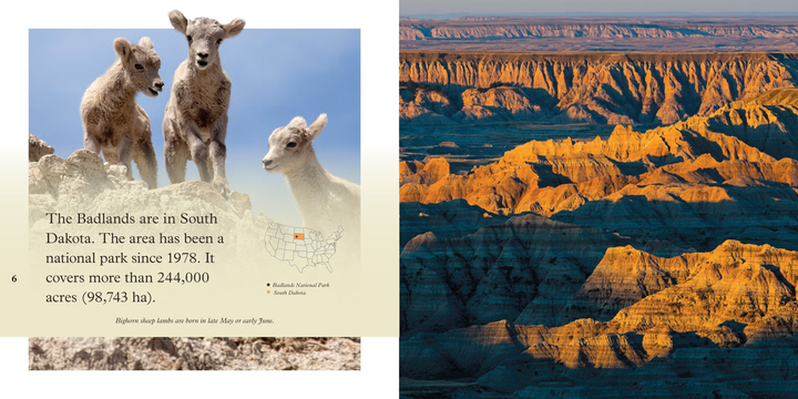 National Park Explorers Series Paperback National Park Explorers: Badlands - 2