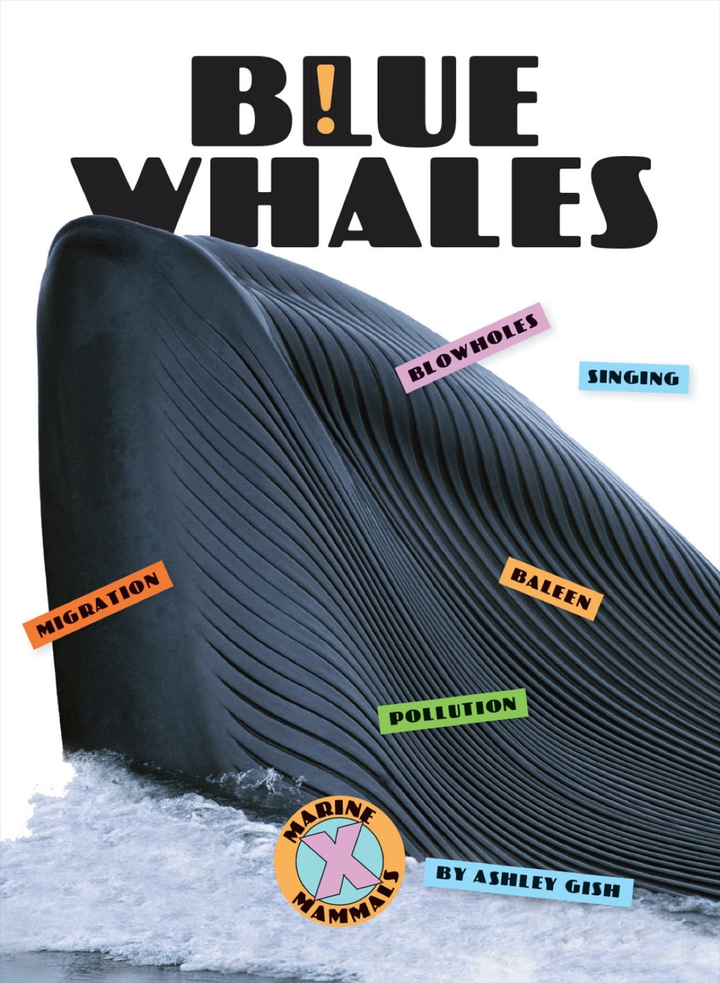 X-Books Series Paperback X-Books: Marine Mammals: Blue Whales