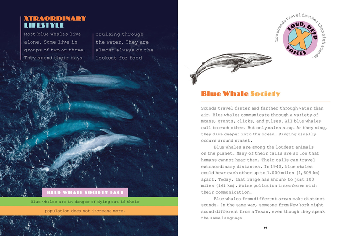 X-Books Series Paperback X-Books: Marine Mammals: Blue Whales - 3