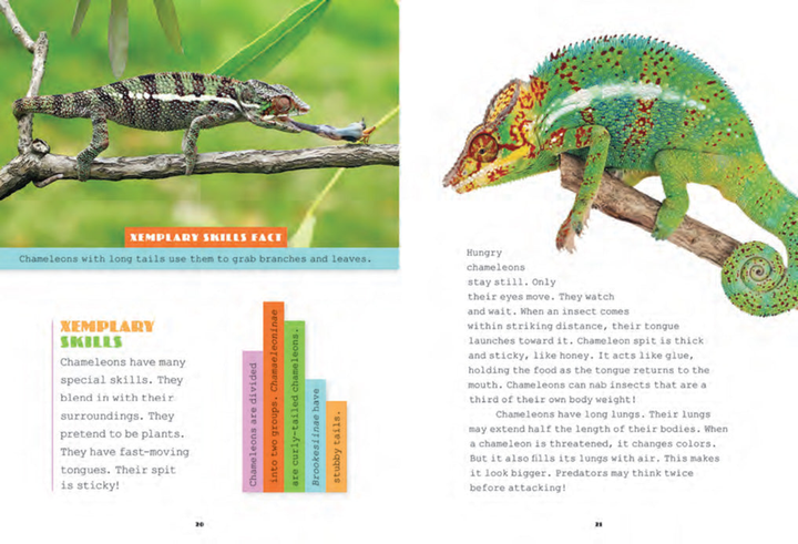 X-Books Series Paperback X-Books: Reptiles: Chameleons - 2