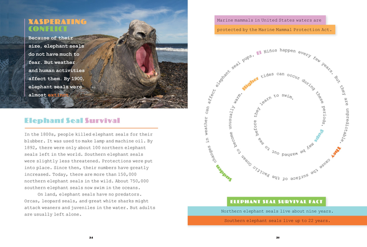 X-Books Series Paperback X-Books: Marine Mammals: Elephant Seals - 2