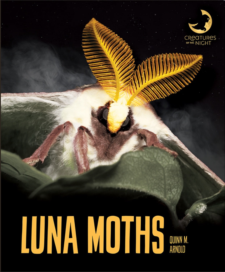 Creatures of the Night Series Paperback Creatures of the Night: Luna Moths