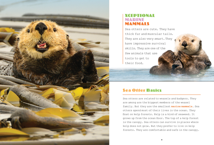 X-Books Series Paperback X-Books: Marine Mammals: Sea Otters - 2