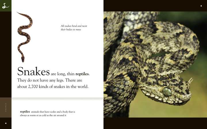 Amazing Animals - Classic Edition Series Paperback Amazing Animals - Classic Edition: Snakes - 2