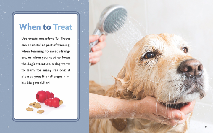 A Dog's Life Series Paperback A Dog's Life: Treating Your Dog - 2