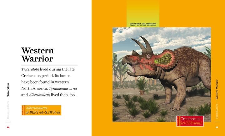 Dinosaur Days Series Paperback Dinosaur Days: Triceratops - 2