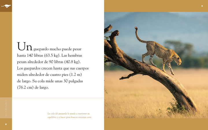 Planeta animal - New Edition Series Hardcover Planeta animal - New Edition: El guepardo - 2