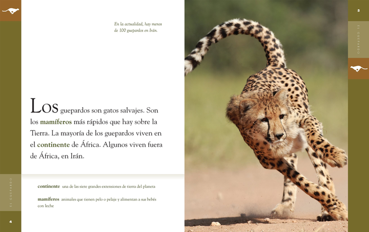 Planeta animal - New Edition Series Hardcover Planeta animal - New Edition: El guepardo - 3