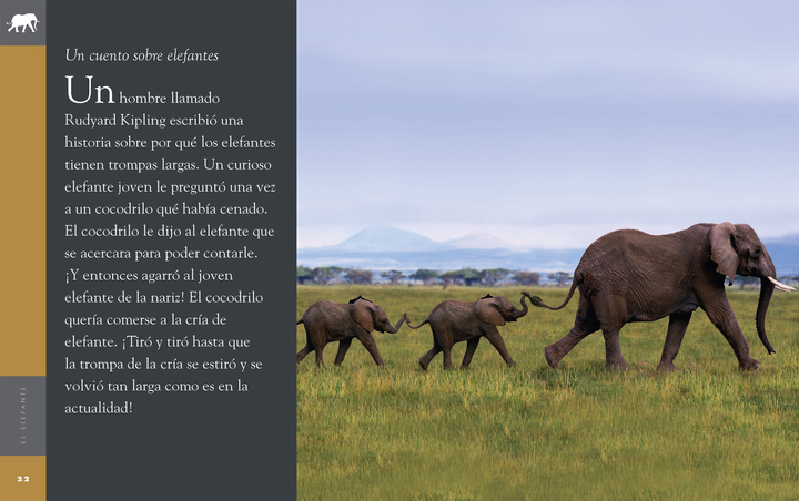 Planeta animal - New Edition Series Hardcover Planeta animal - New Edition: El elefante - 2