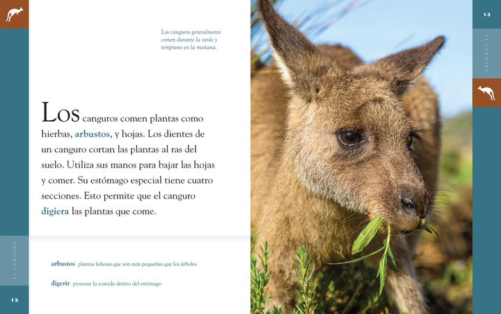 Planeta animal - New Edition Series Hardcover Planeta animal - New Edition: El canguro - 2