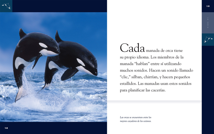 Planeta animal - New Edition Series Hardcover Planeta animal - New Edition: La orca - 2