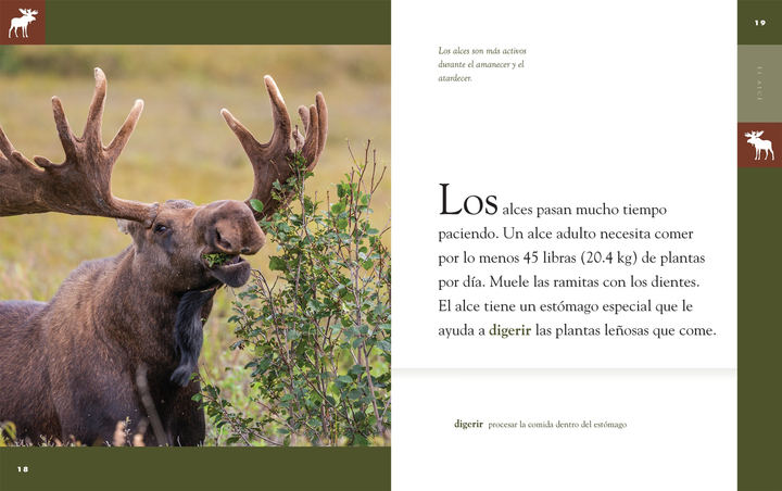 Planeta animal - New Edition Series Hardcover Planeta animal - New Edition: El alce - 2