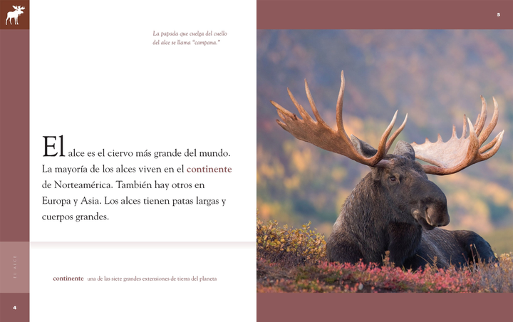 Planeta animal - New Edition Series Hardcover Planeta animal - New Edition: El alce - 3