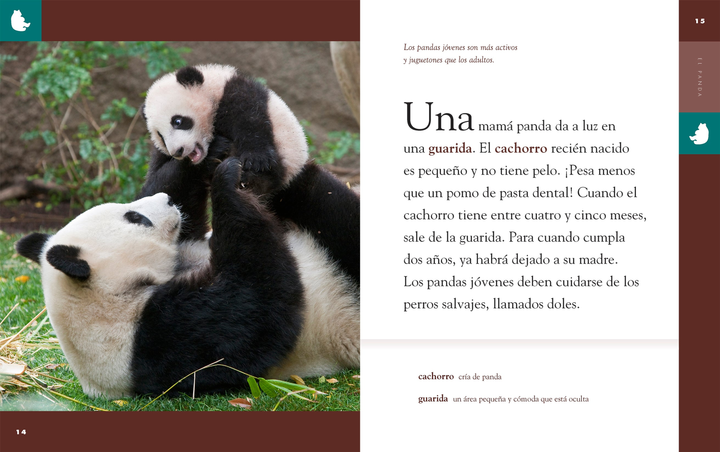 Planeta animal - New Edition Series Hardcover Planeta animal - New Edition: El panda - 3