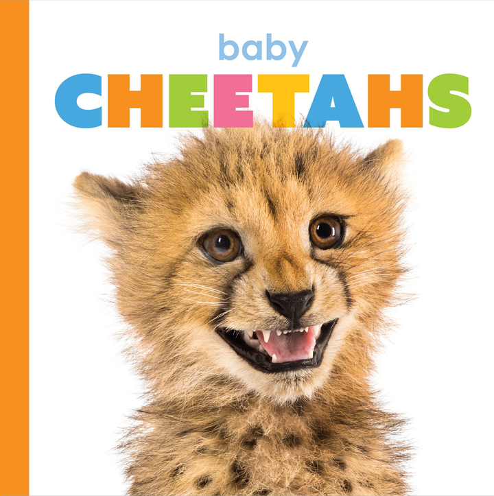 Starting Out Series Hardcover Starting Out: Baby Cheetahs