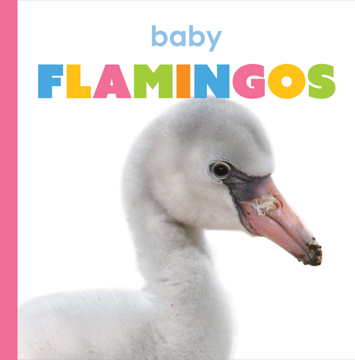 Starting Out Series Hardcover Starting Out: Baby Flamingos