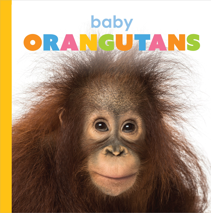 Starting Out Series Hardcover Starting Out: Baby Orangutans