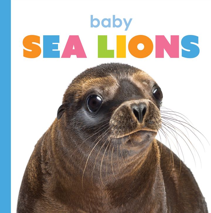 Starting Out Series Hardcover Starting Out: Baby Sea Lions