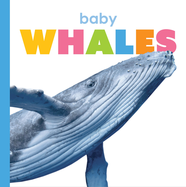 Starting Out Series Hardcover Starting Out: Baby Whales