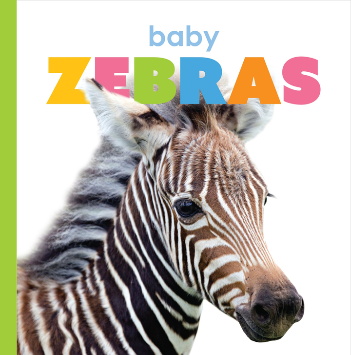 Starting Out Series Hardcover Starting Out: Baby Zebras