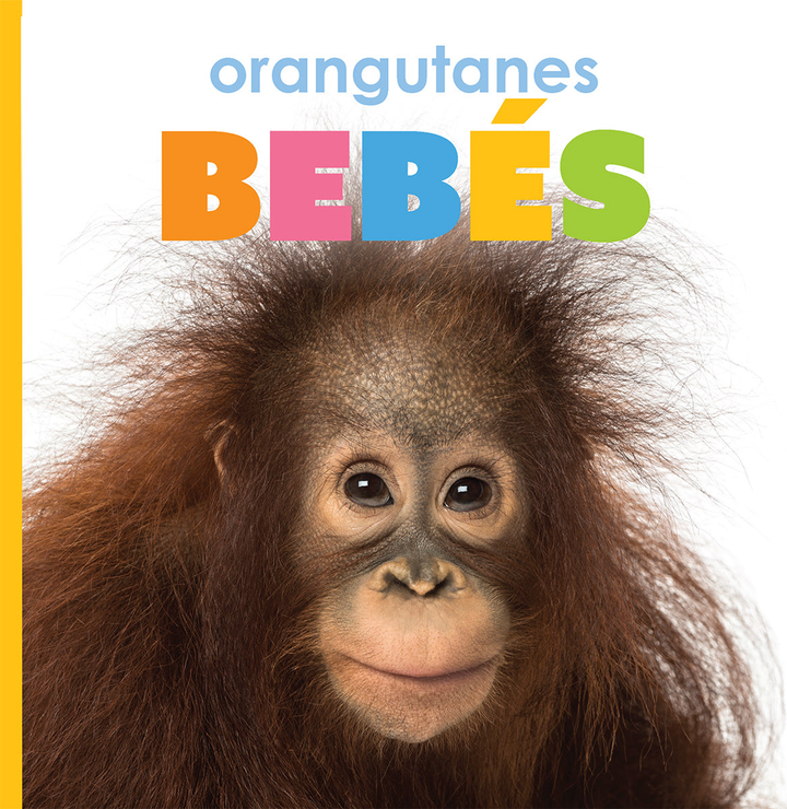 El principio de los Series Hardcover El principio de los: orangutanes bebes