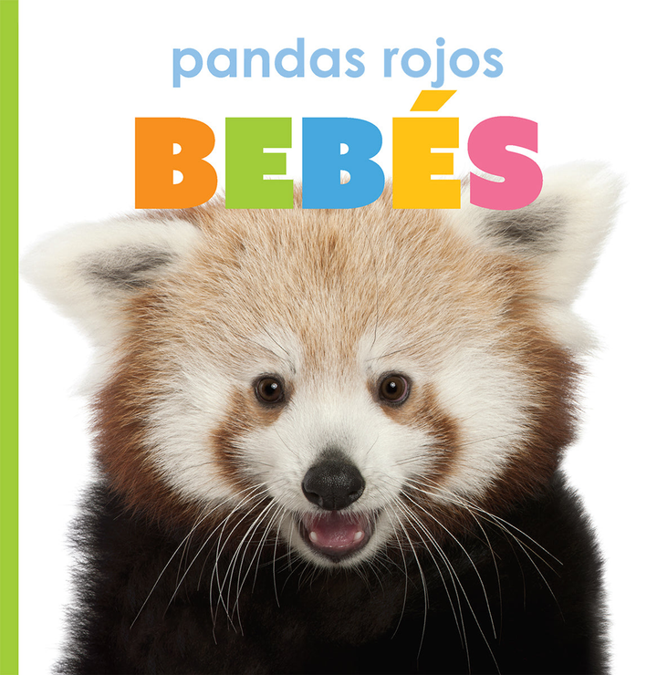 El principio de los Series Hardcover El principio de los: pandas rojos bebes