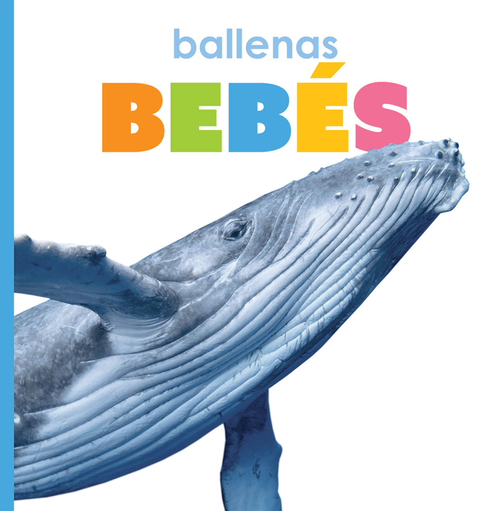 El principio de los Series Hardcover El principio de los: ballenas bebes