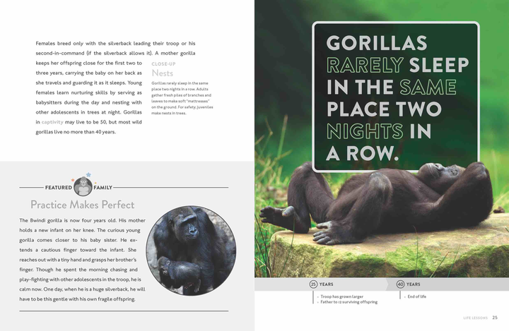 Spotlight on Nature Series Hardcover Spotlight on Nature: Gorilla - 2