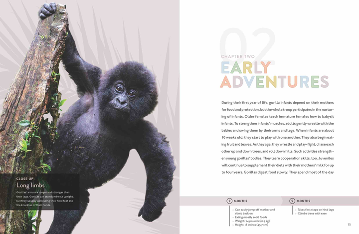 Spotlight on Nature Series Hardcover Spotlight on Nature: Gorilla - 3