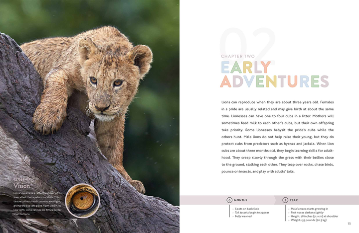 Spotlight on Nature Series Hardcover Spotlight on Nature: Lion - 2