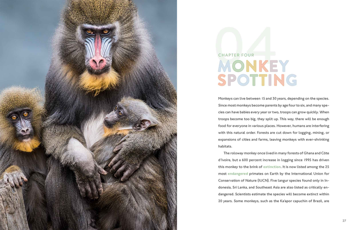 Spotlight on Nature Series Hardcover Spotlight on Nature: Monkey - 2