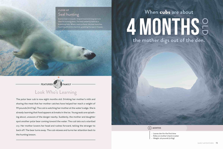 Spotlight on Nature Series Hardcover Spotlight on Nature: Polar Bear - 4