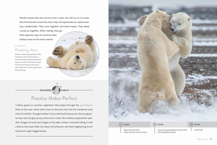 Spotlight on Nature Series Hardcover Spotlight on Nature: Polar Bear - 5