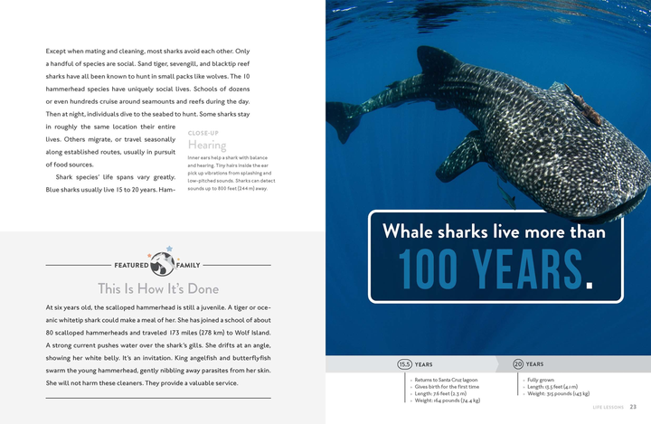 Spotlight on Nature Series Hardcover Spotlight on Nature: Shark - 3