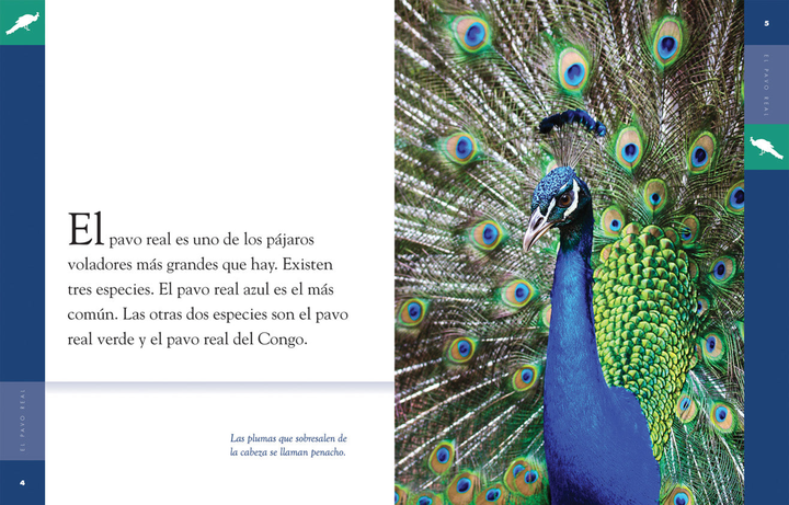 Planeta animal - Classic Edition Series Hardcover Planeta animal - Classic Edition: El pavo real - 2